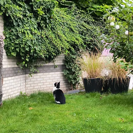 Willa Huis Met Tuin Vlakbij Efteling 3 Slaapkamers Minimaal 7 Nachten *